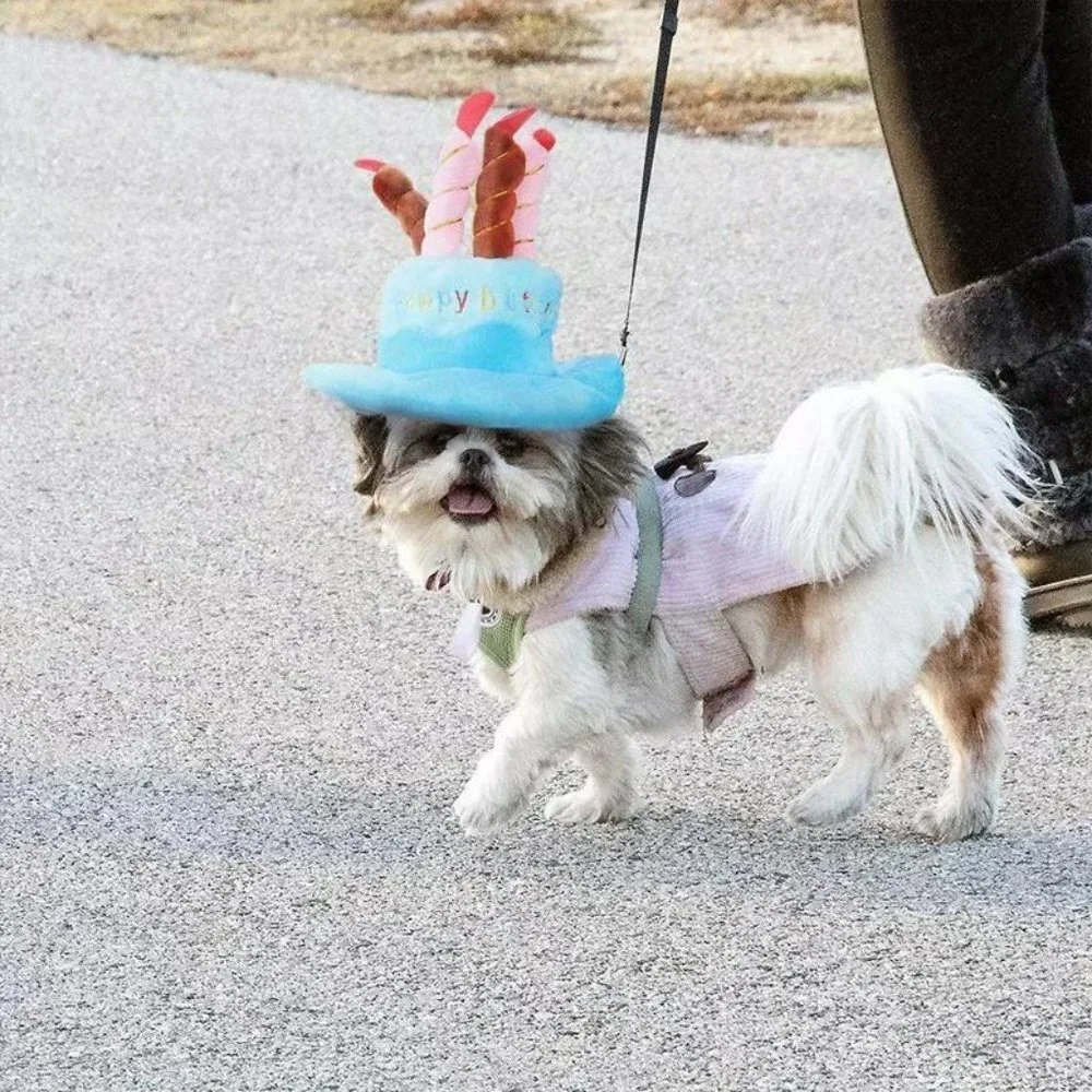 Pink Hat Cap Cake Candles Pet Birthday Costume Cosplay Puppy Dog Cat Christmas